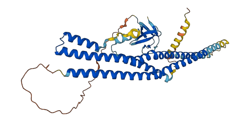 SH3GLB2 3D structure