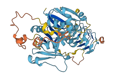 EIF2B3 3D structure