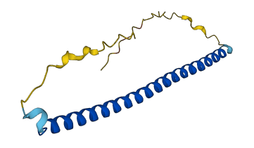 BATF3 3D structure