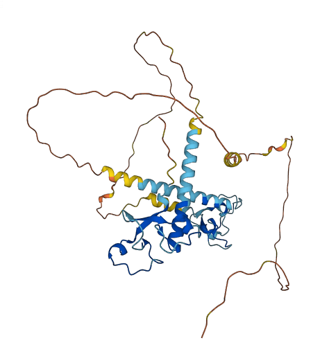 MBNL1 3D structure