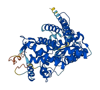 CYP26B1 3D structure