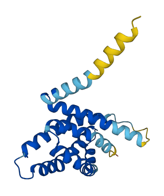 PXMP2 3D structure