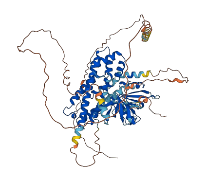 ARHGEF4 3D structure