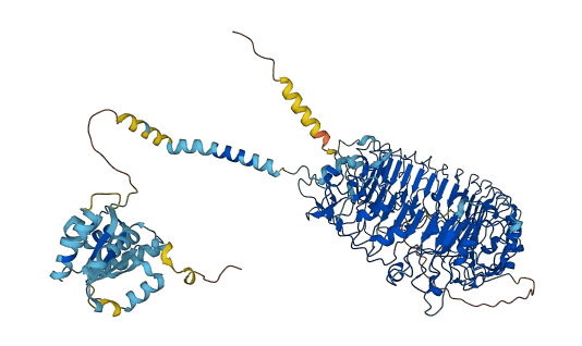 TLR9 3D structure