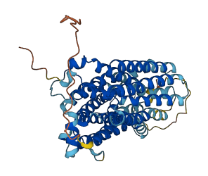 SLC17A5 3D structure