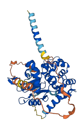CHST12 3D structure