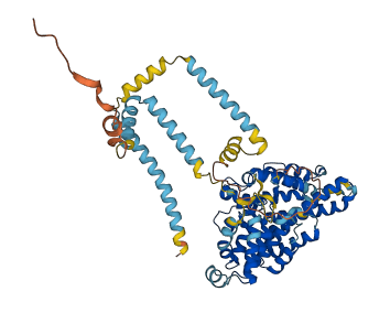 ST7 3D structure