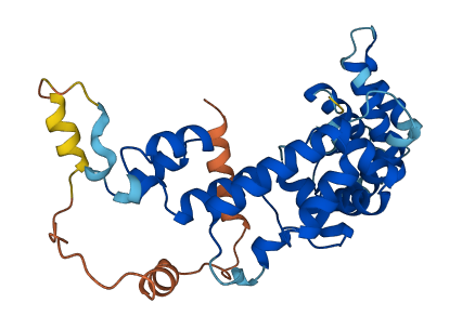 FBXO8 3D structure