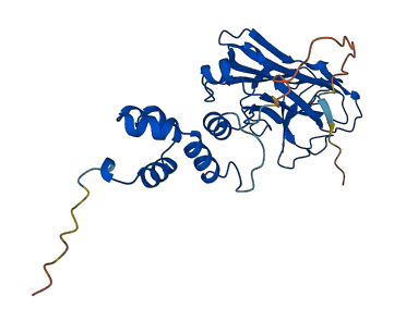 FBXO6 3D structure