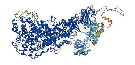 DUOX1 3D structure
