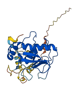 MMP26 3D structure