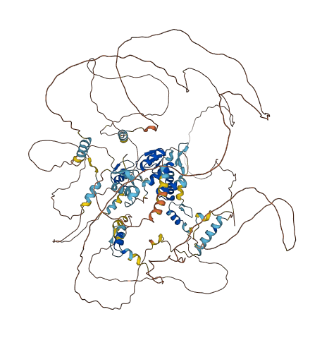 TSHZ2 3D structure