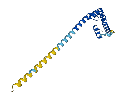 POLE3 3D structure