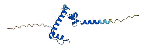 CHRAC1 3D structure