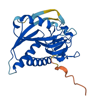 PRTFDC1 3D structure
