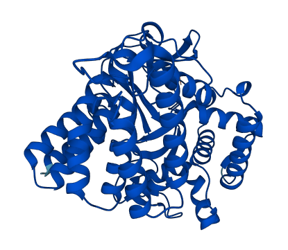 SMYD2 3D structure