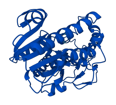 SDR39U1 3D structure