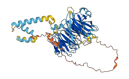 AAAS 3D structure