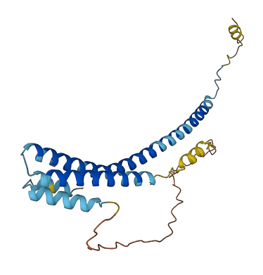 YAE1 3D structure