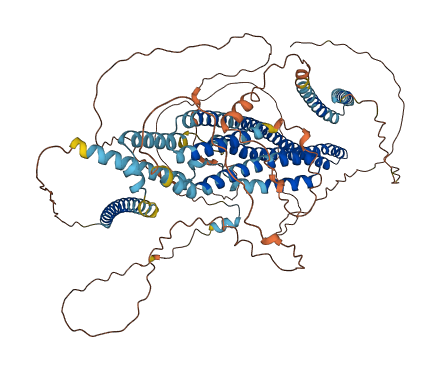 DISC1 3D structure