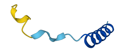 PYY2 3D structure
