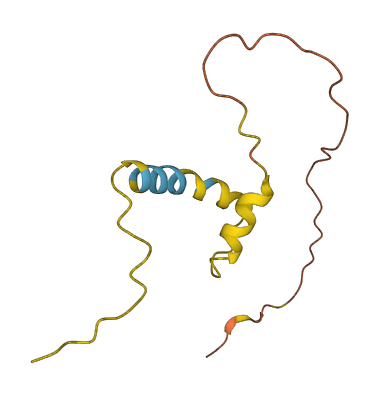 C8orf17 3D structure