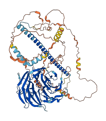 STRN4 3D structure