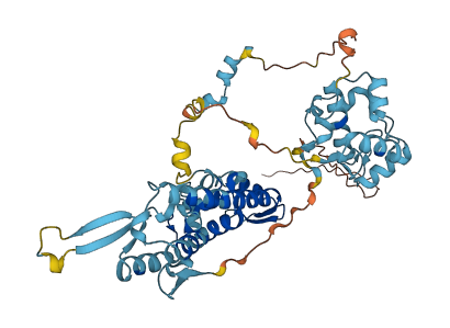 ZNF277 3D structure