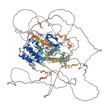LATS2 3D structure