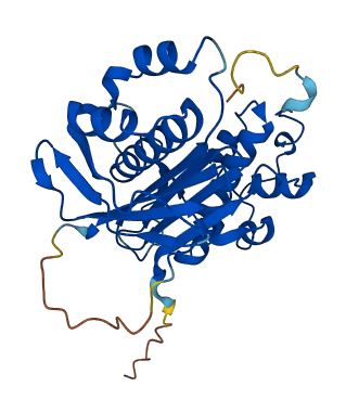 AASDHPPT 3D structure