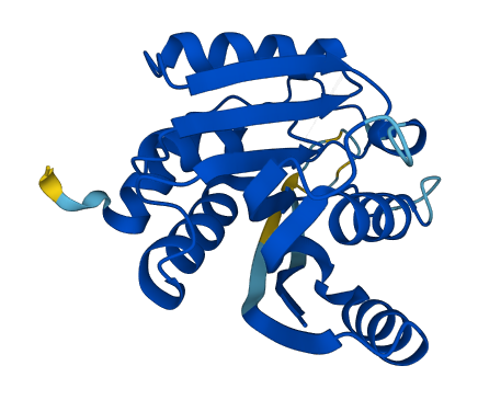METTL5 3D structure