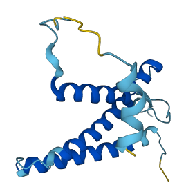 OSTC 3D structure