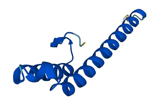 CMC2 3D structure