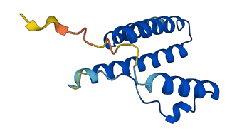 SDHAF3 3D structure