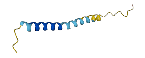 SMCO4 3D structure