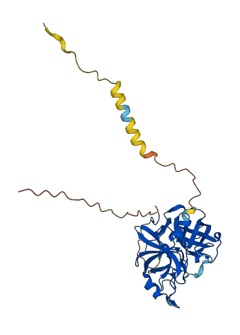 TPSG1 3D structure