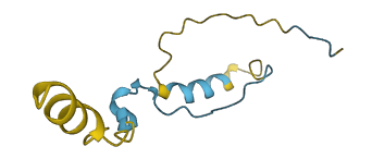 CDC42SE2 3D structure