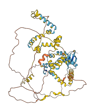 UBQLN4 3D structure