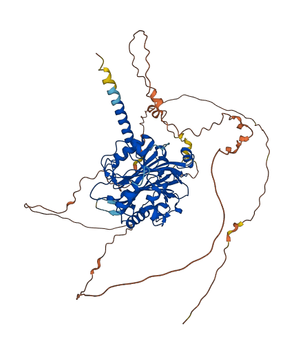INPP5E 3D structure
