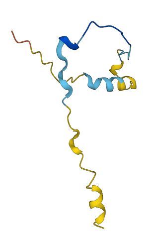 CDC42SE1 3D structure