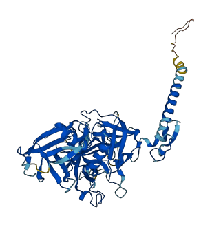 TMPRSS4 3D structure