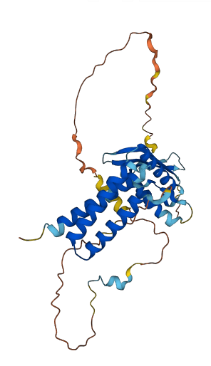 SNX15 3D structure