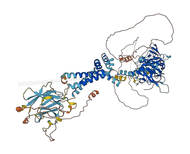 CNNM1 3D structure