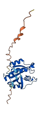 RAB6B 3D structure