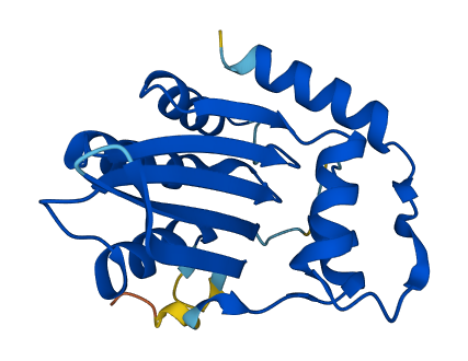 APOBEC3C 3D structure