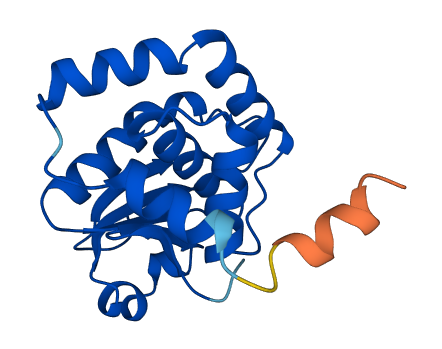 DUSP22 3D structure