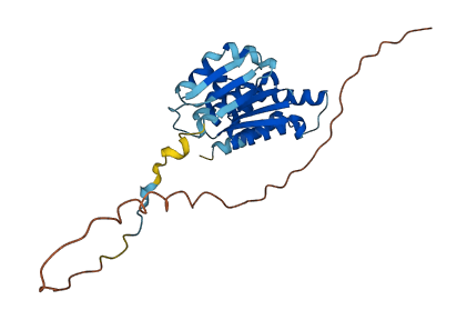 PNO1 3D structure
