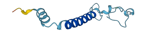 NDUFA4L2 3D structure