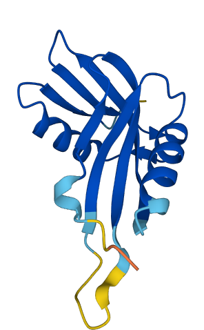 PHPT1 3D structure
