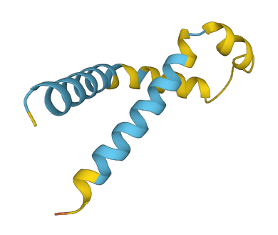 TMEM167B 3D structure